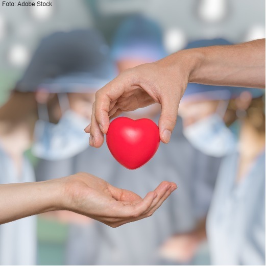 Öffnen Transplantationsmedizin